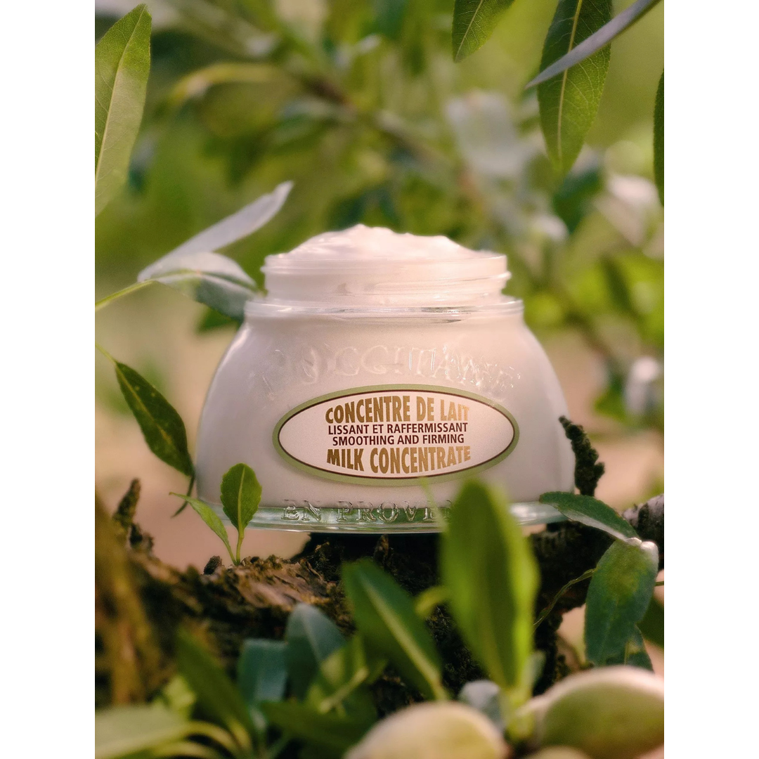 Concentré de Lait Corps Amande