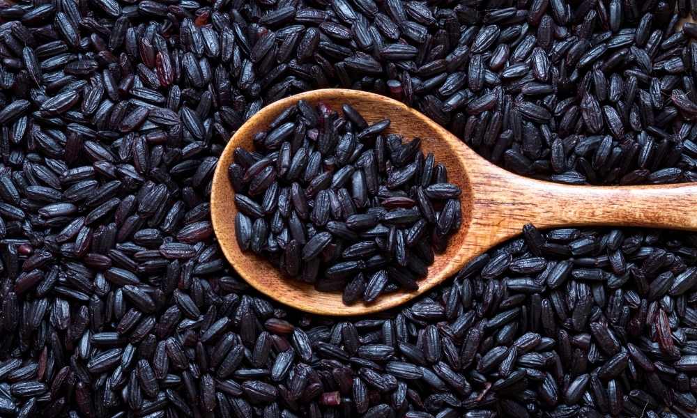 Black Rice Hyaluronic Toner