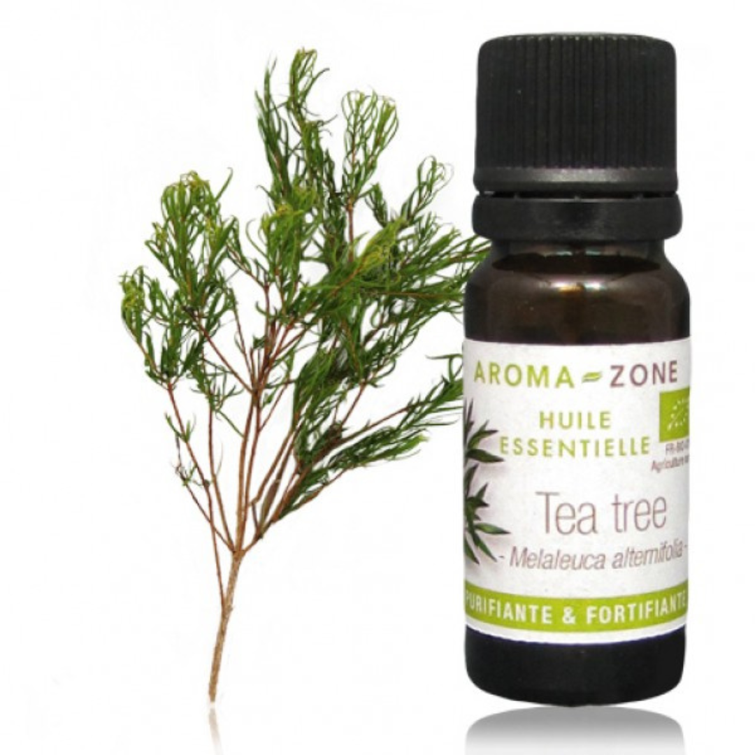 Tea tree essential oil (Organic Tea Tree)