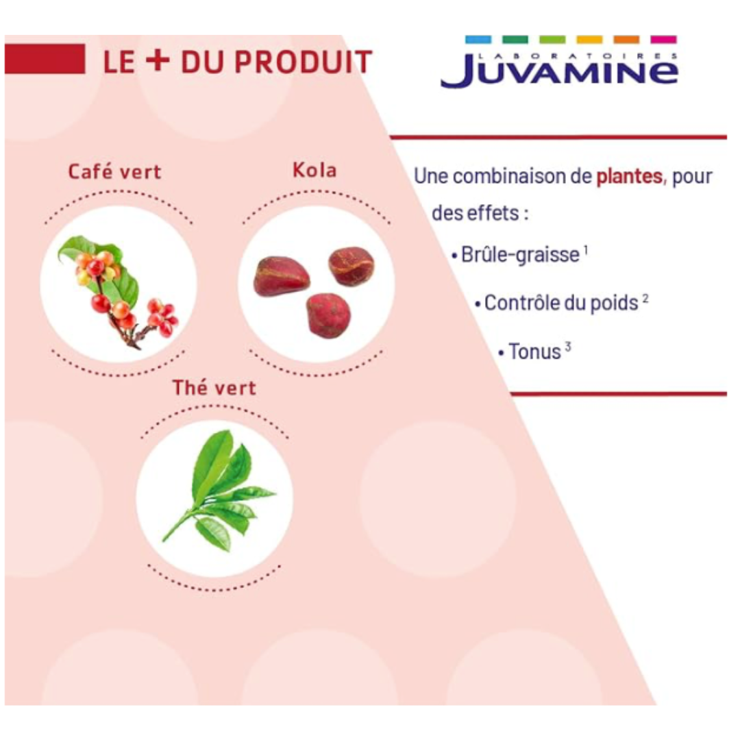 PHYTO Brûle Graisse
