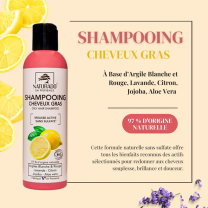 Shampoing Cheveux Gras Bio