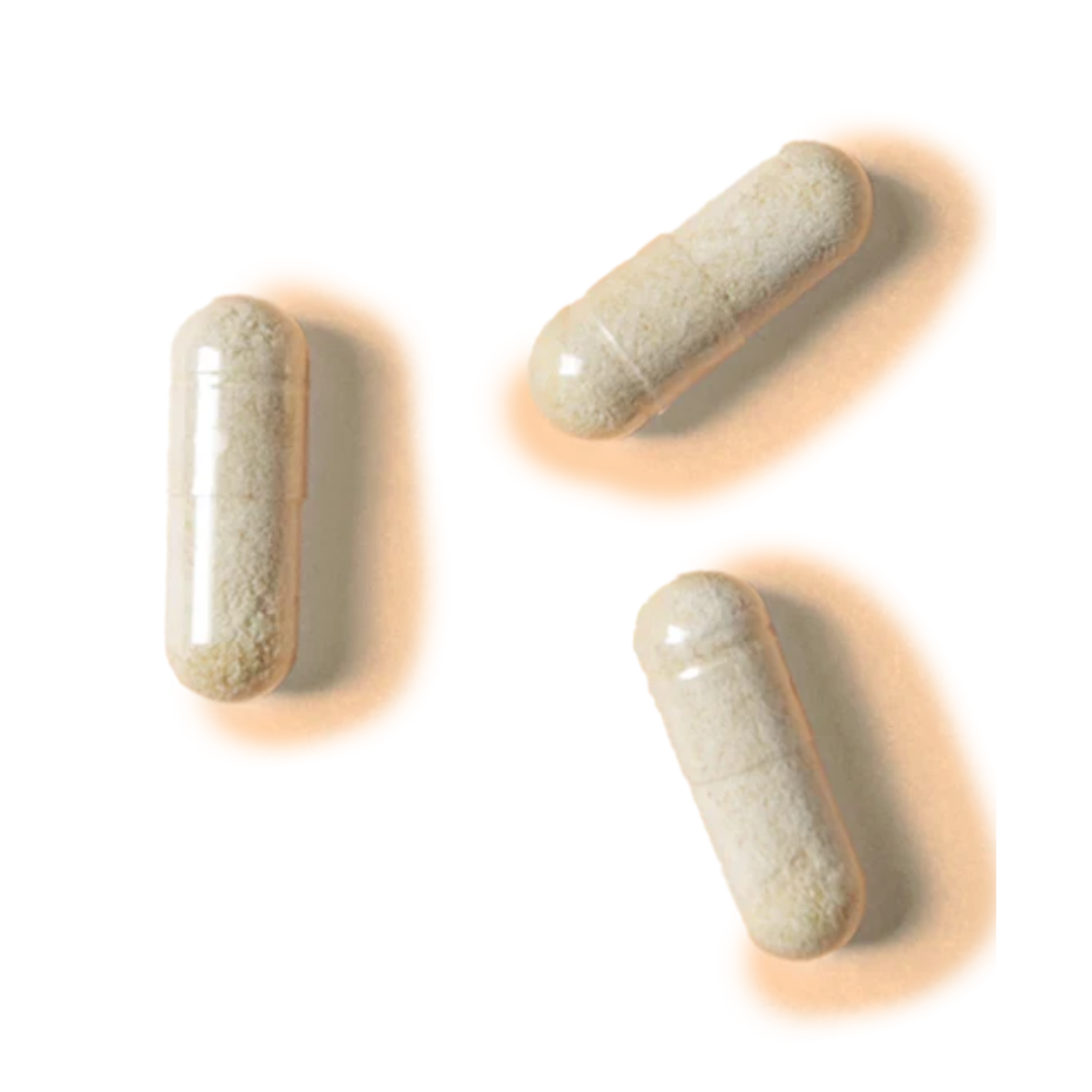 Ashwagandha Bio KSM-66