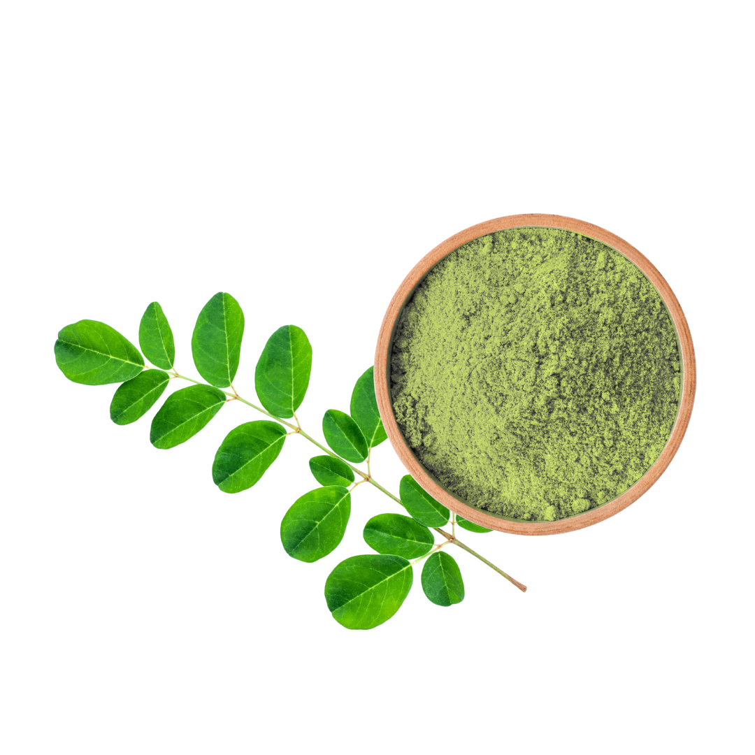 Poudre de Qasil (Sidr)