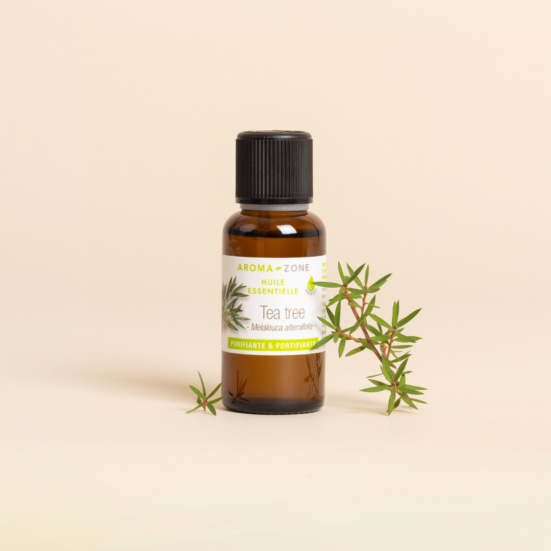 Tea tree essential oil (Organic Tea Tree)