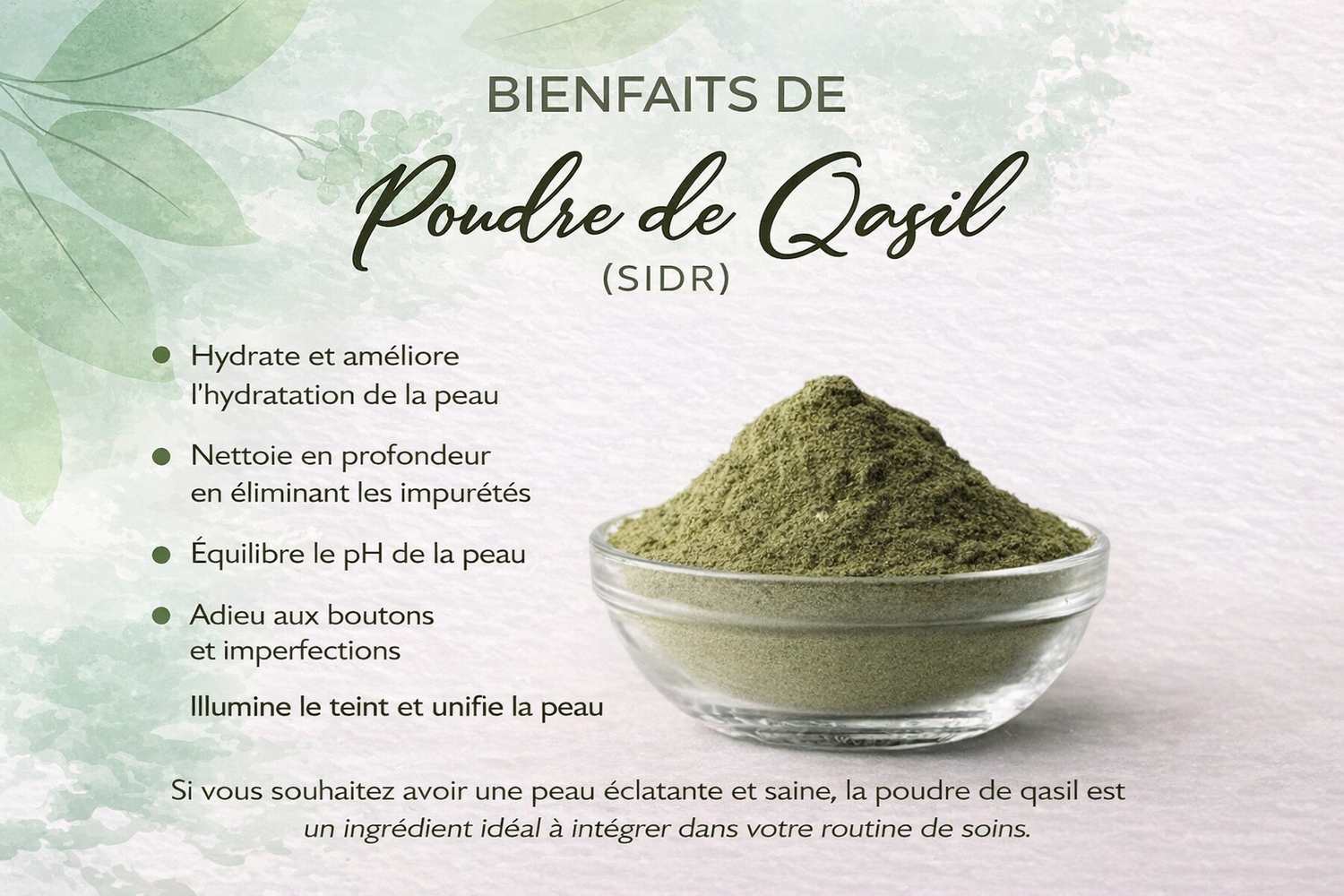 Poudre de Qasil (Sidr)